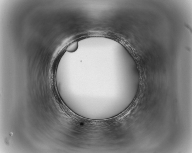 X0000094200343200710260917
