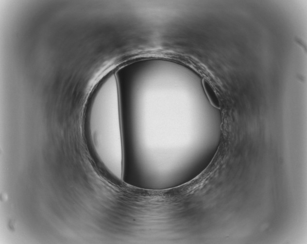 X0000094200344200710260917