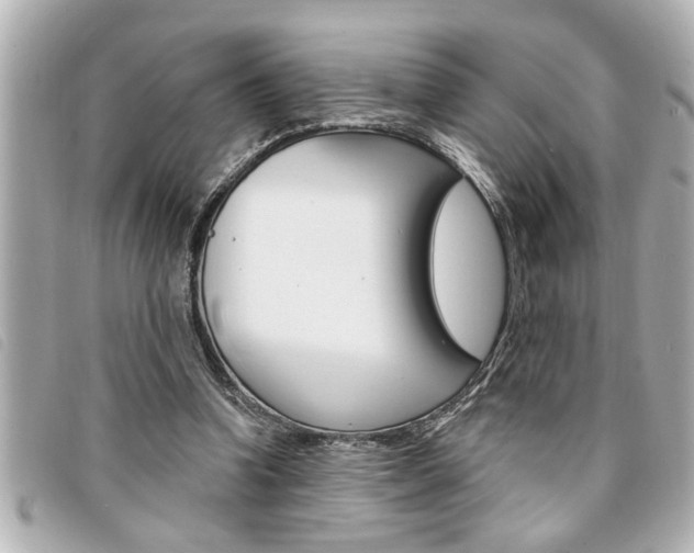X0000094200346200710260917