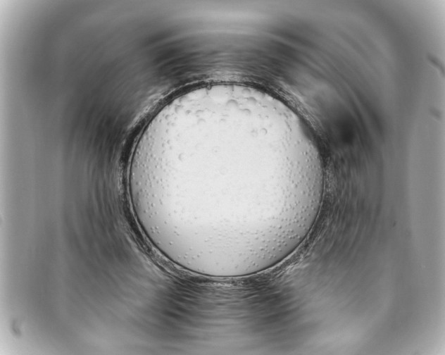 X0000094200347200710260917