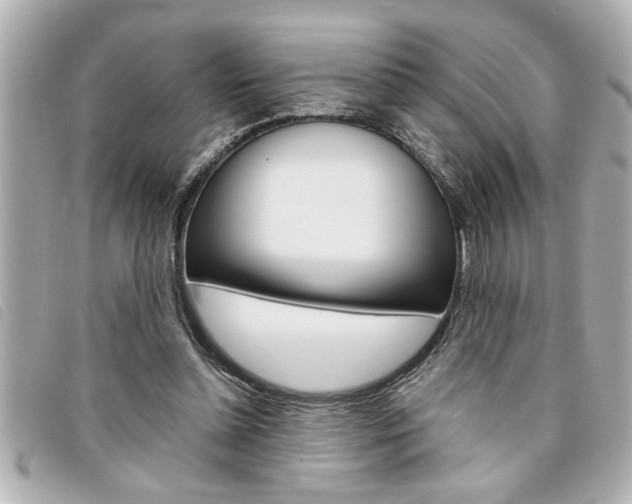 X0000094200348200710260917