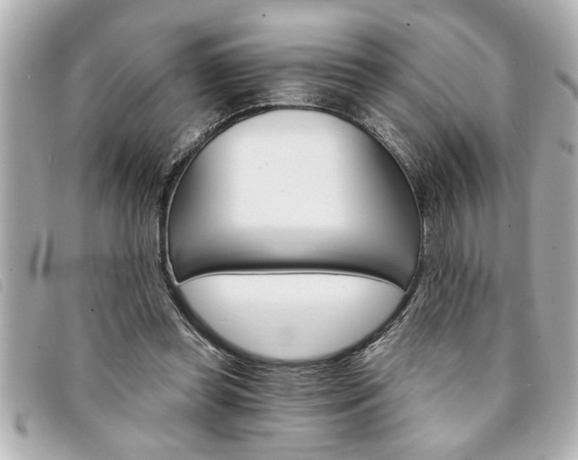 X0000094200349200710260917