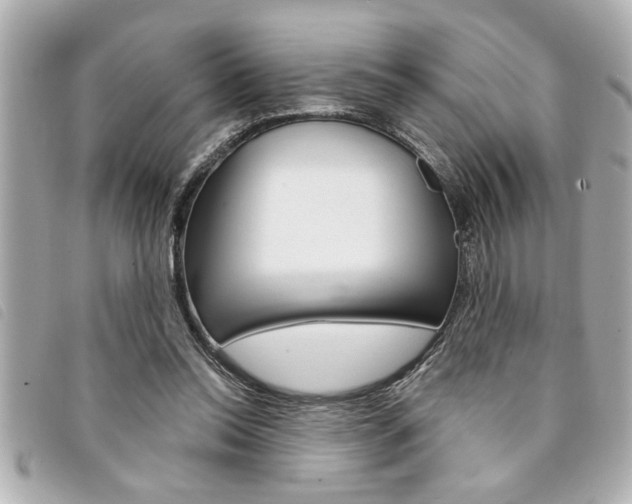 X0000094200350200710260917