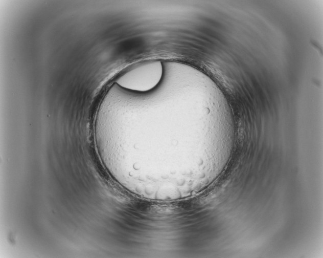 X0000094200351200710260917