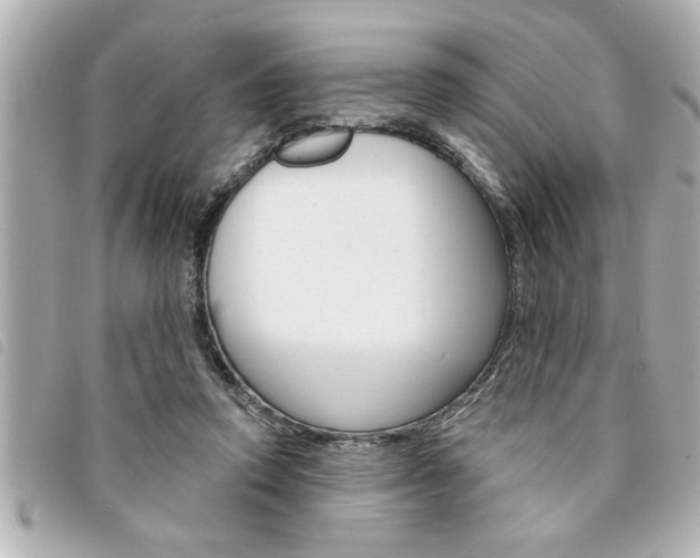 X0000094200354200710260917