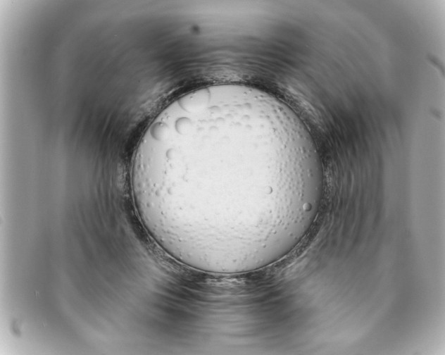 X0000094200359200710260917