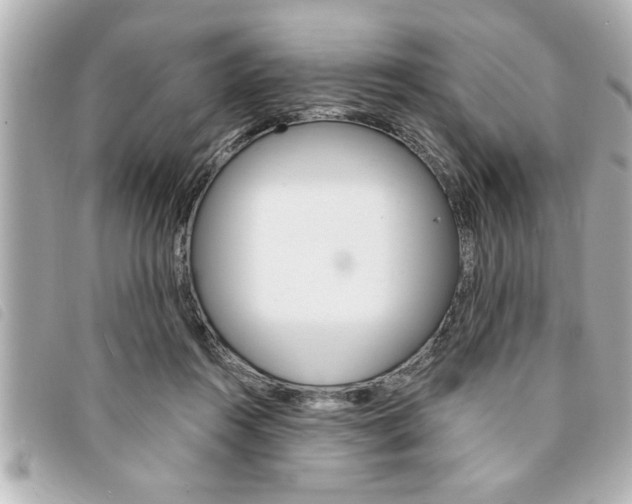 X0000094200360200710260917
