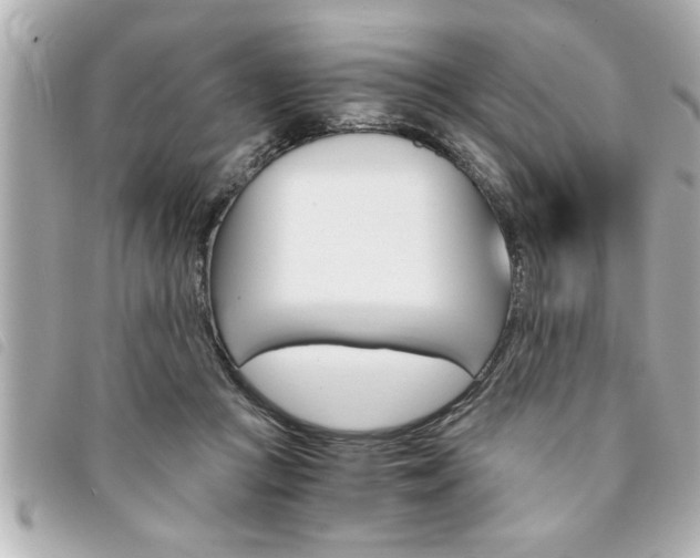 X0000094200361200710260917