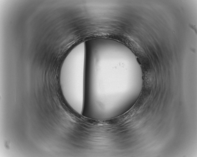 X0000094200364200710260917