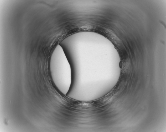 X0000094200365200710260917