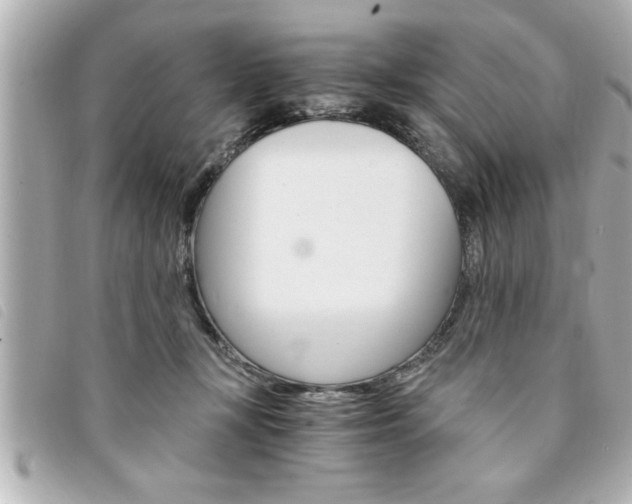 X0000094200367200710260917