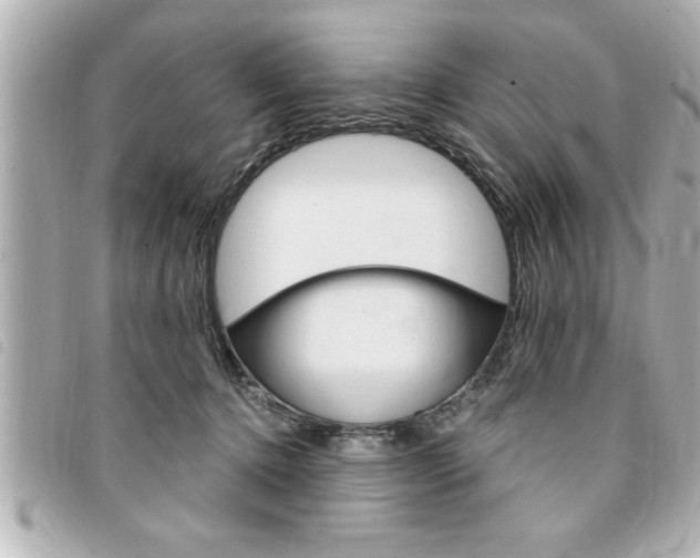 X0000094200368200710260917