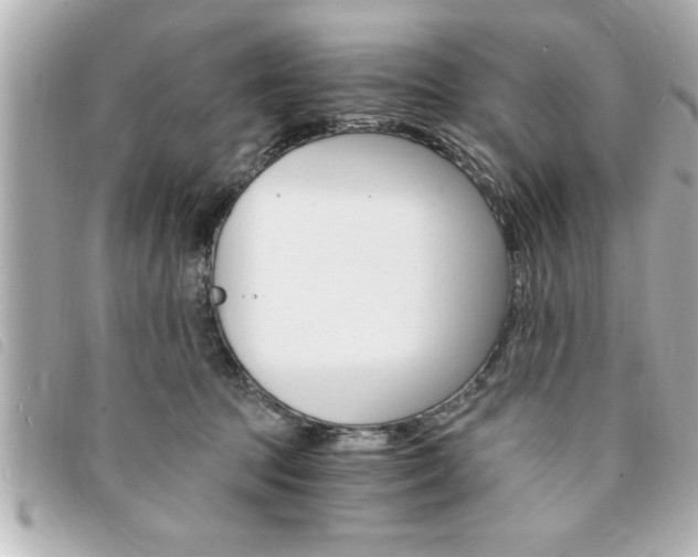 X0000094200369200710260917