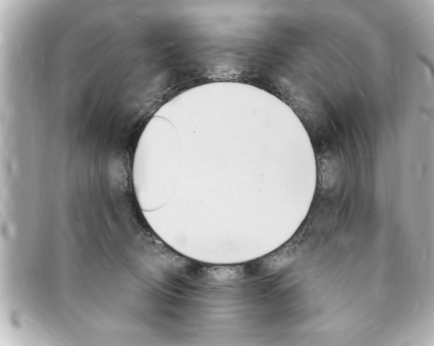 X0000094200370200710260917