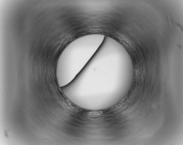 X0000094200373200710260917