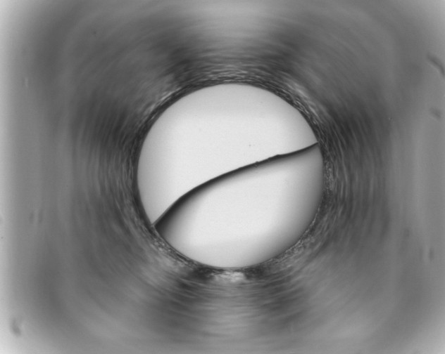 X0000094200374200710260917