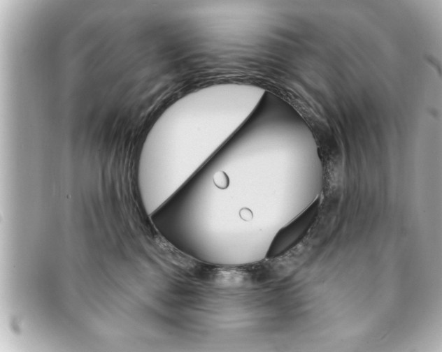 X0000094200376200710260917
