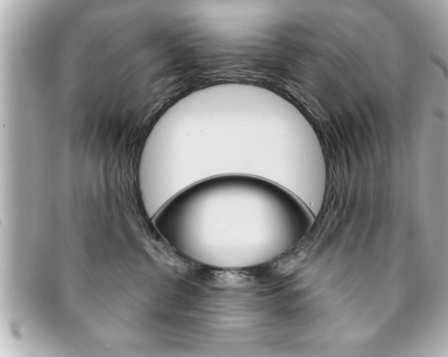 X0000094200380200710260917