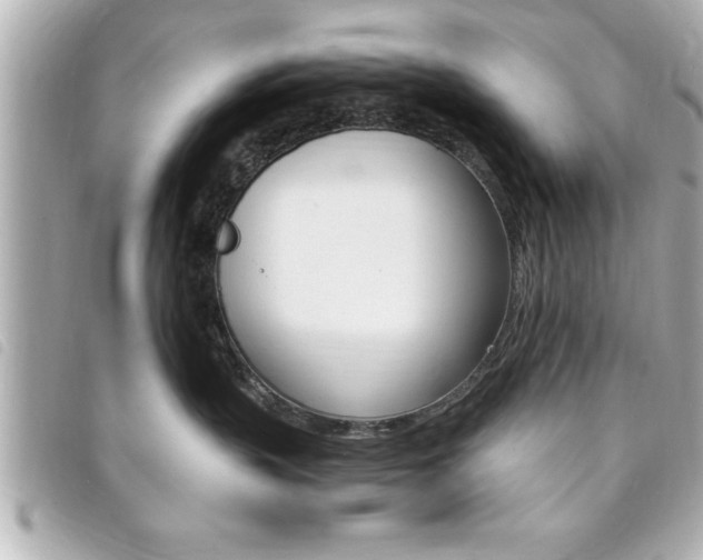 X0000094200383200710260917