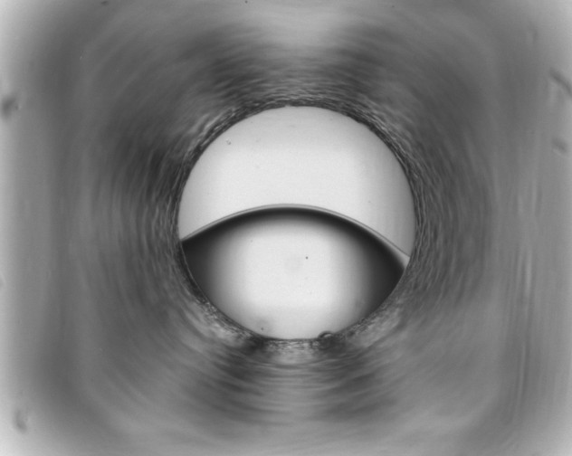 X0000094200384200710260917