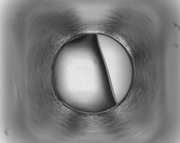 X0000094200385200710260917