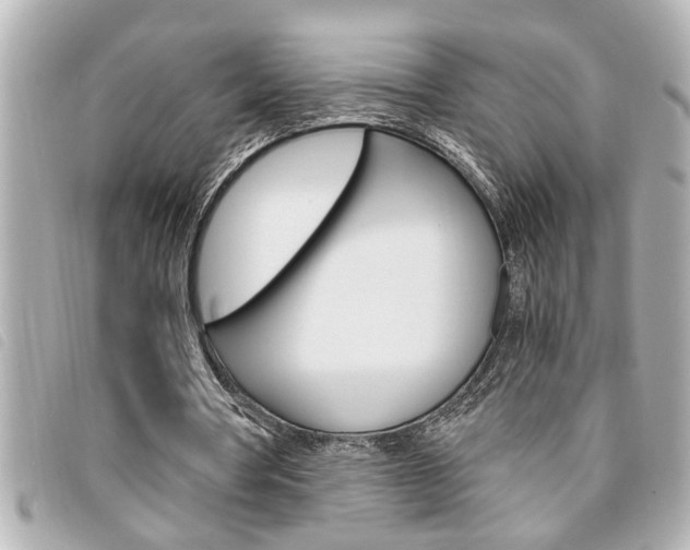 X0000094200386200710260917