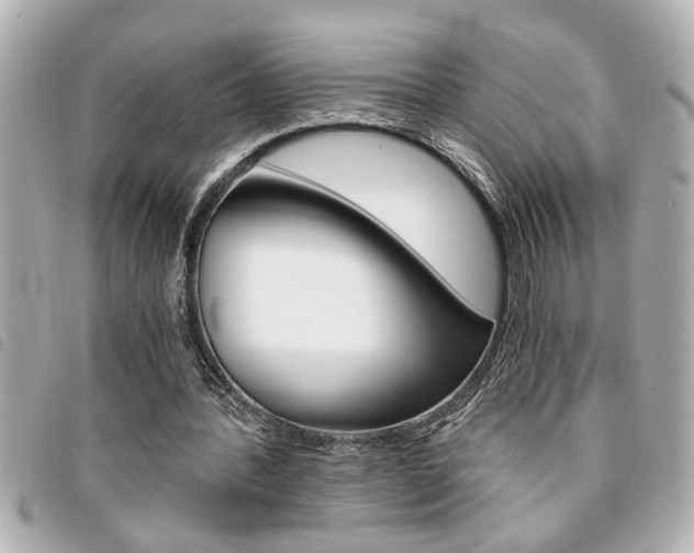 X0000094200388200710260917