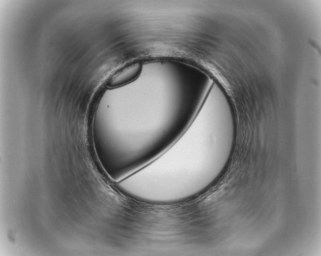 X0000094200391200710260917