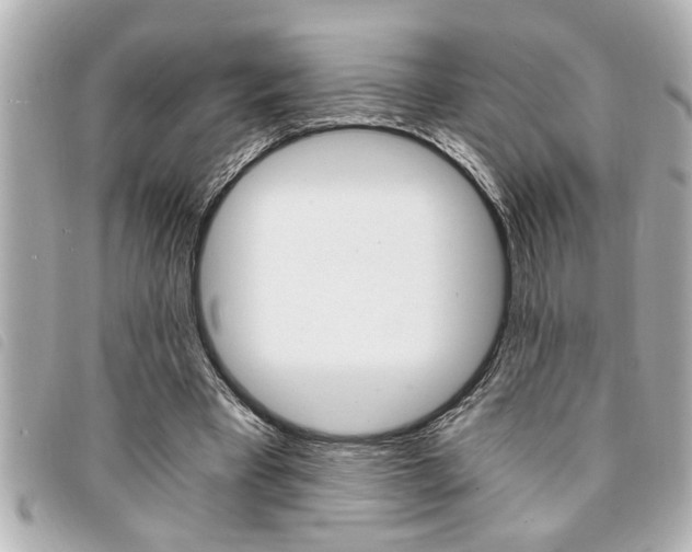 X0000094200393200710260917