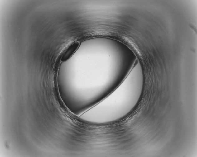 X0000094200395200710260917
