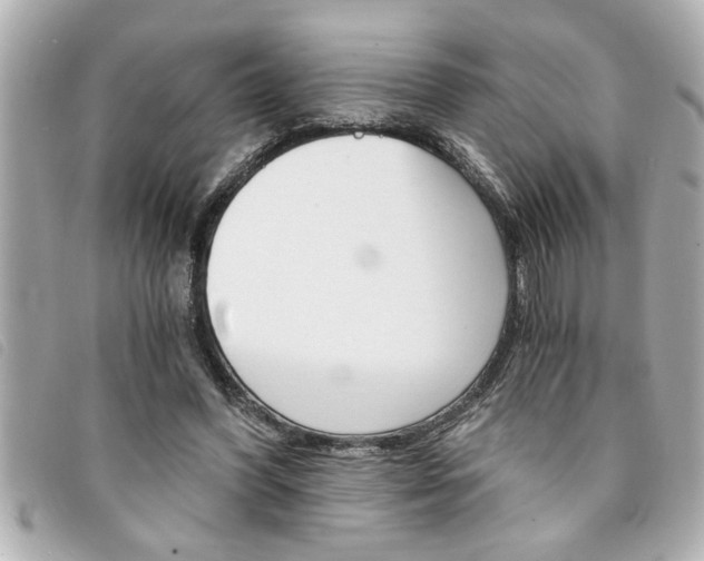 X0000094200396200710260917