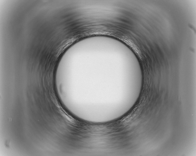 X0000094200397200710260917