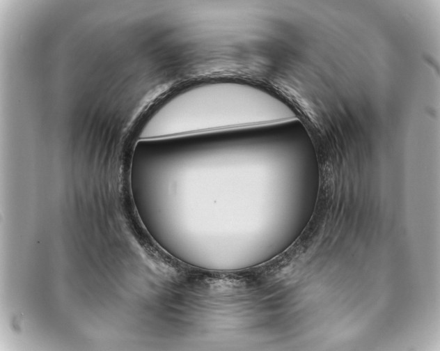 X0000094200400200710260916