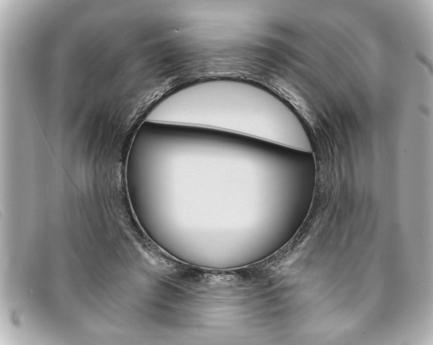 X0000094200401200710260916