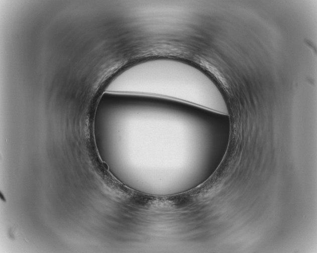 X0000094200403200710260916