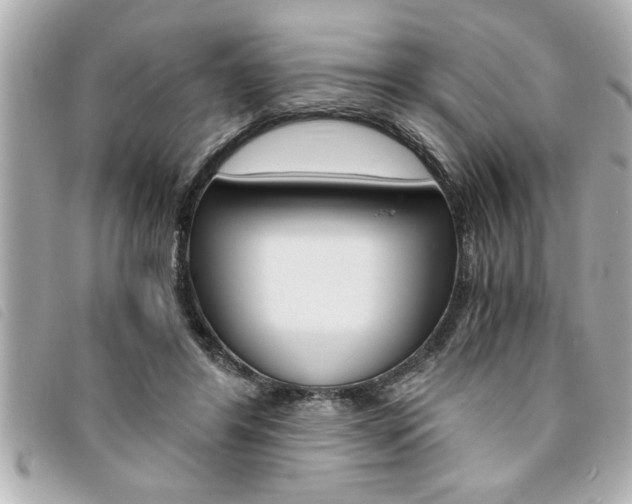 X0000094200404200710260916