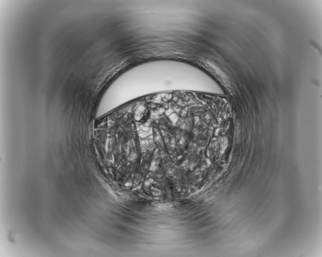 X0000094200405200710260916