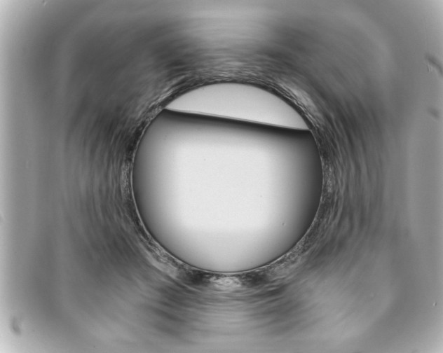 X0000094200409200710260916