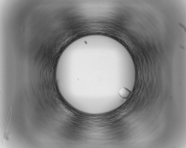 X0000094200411200710260916