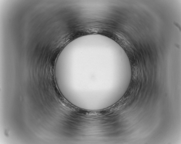 X0000094200414200710260916