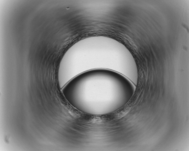 X0000094200416200710260916