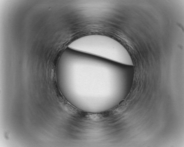 X0000094200417200710260916