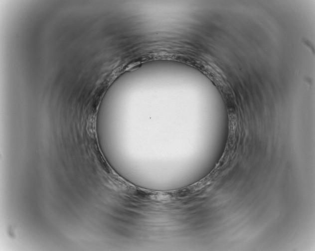 X0000094200419200710260916