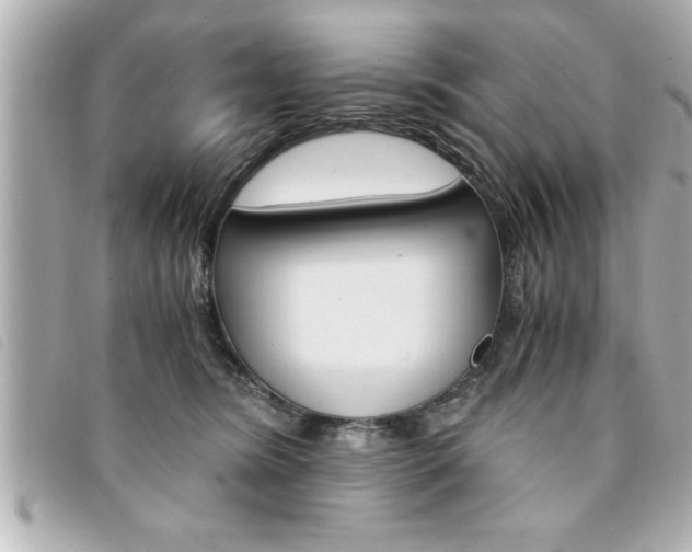 X0000094200420200710260916