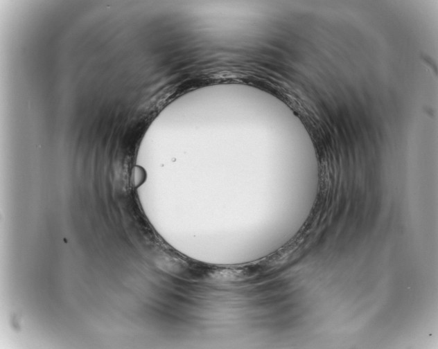 X0000094200422200710260916