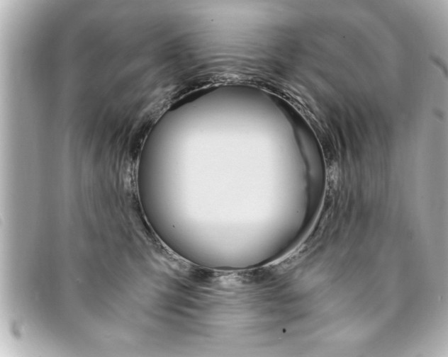 X0000094200423200710260916