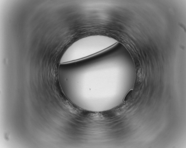 X0000094200424200710260916