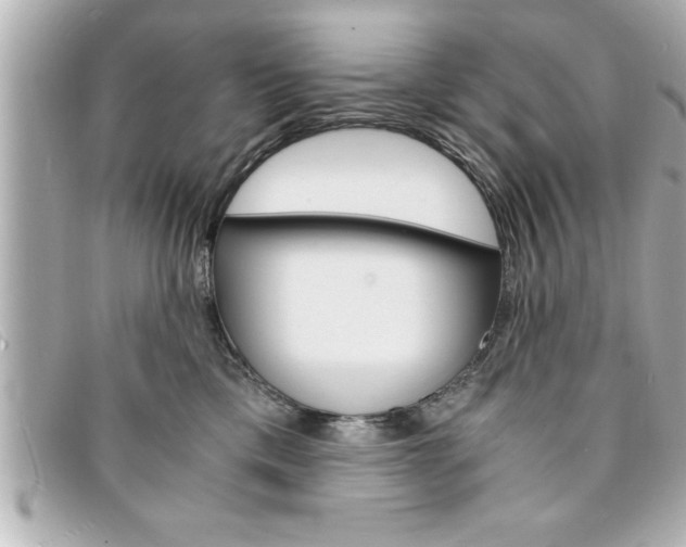 X0000094200425200710260916