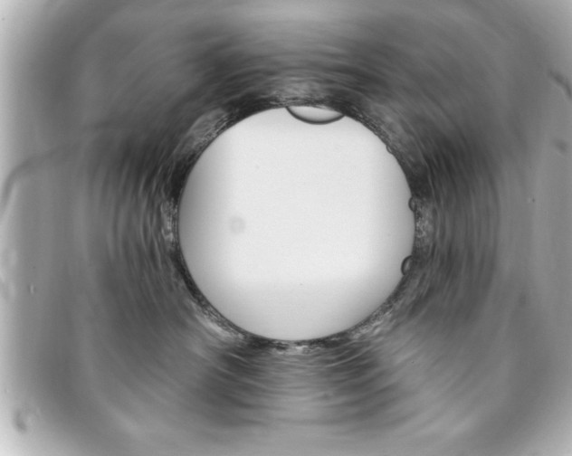 X0000094200430200710260916