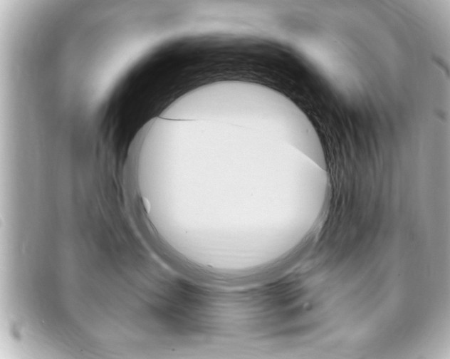 X0000094200431200710260916